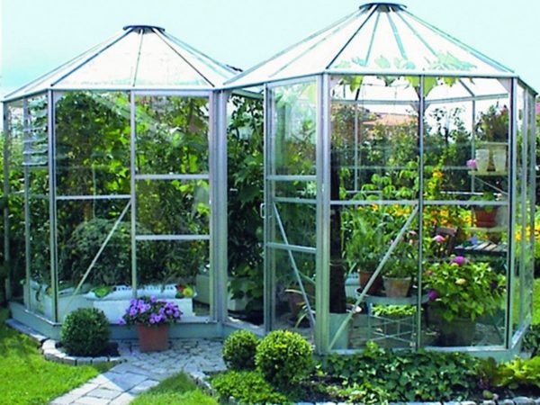 Greenhouse / garden pavilion Vitavia Hera 4500 H - Image 3