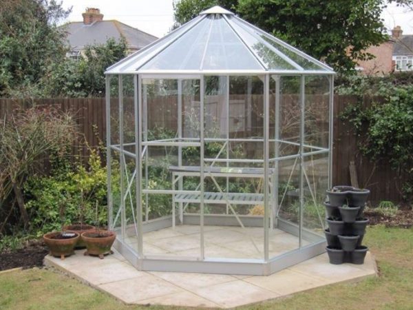 Greenhouse / garden pavilion Vitavia Hera 4500 H - Image 4