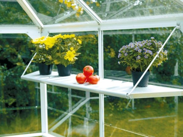 Greenhouse / garden pavilion Vitavia Hera 4500 H - Image 9