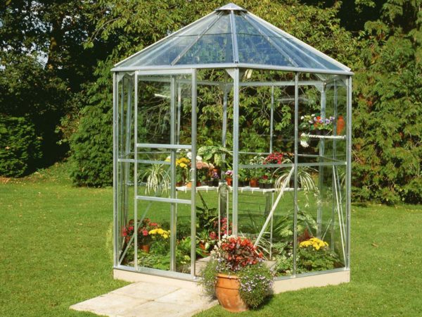 Greenhouse / garden pavilion Vitavia Hera 4500 H - Image 5