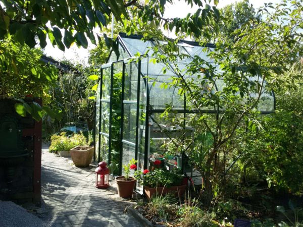 Greenhouse Vitavia Saturn 6700 - Image 6