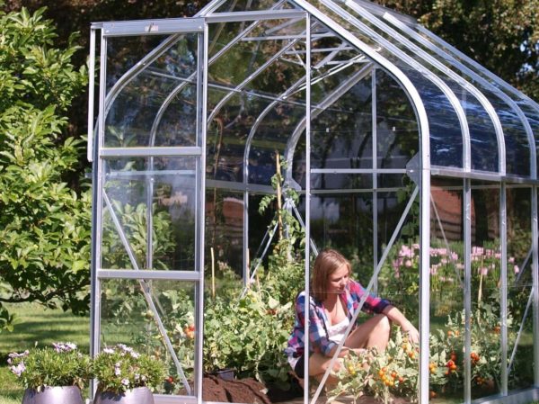 Greenhouse Vitavia Orion 3800 - Image 8