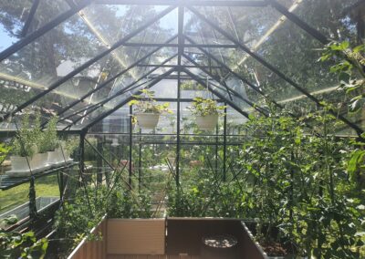 Kasvuhoone taimepotid